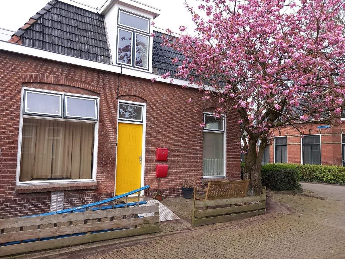 Afbeelding 1 van 9