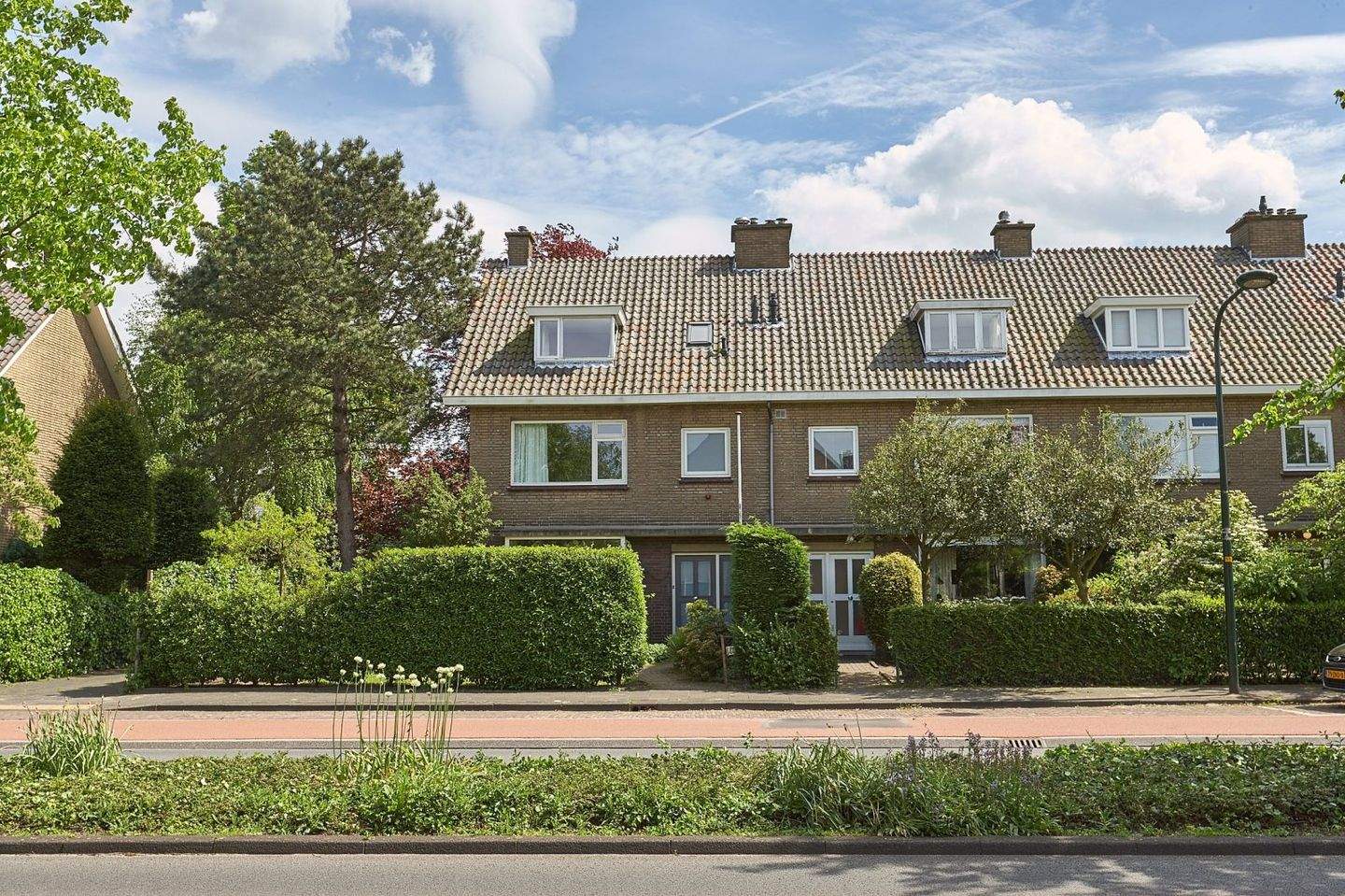 Afbeelding 3 van 12