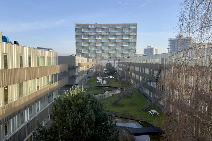 Bild 9 von 10