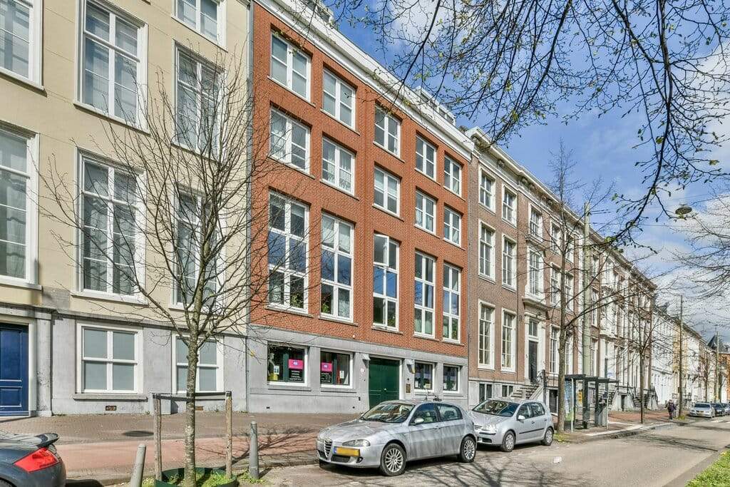 Afbeelding 2 van 12