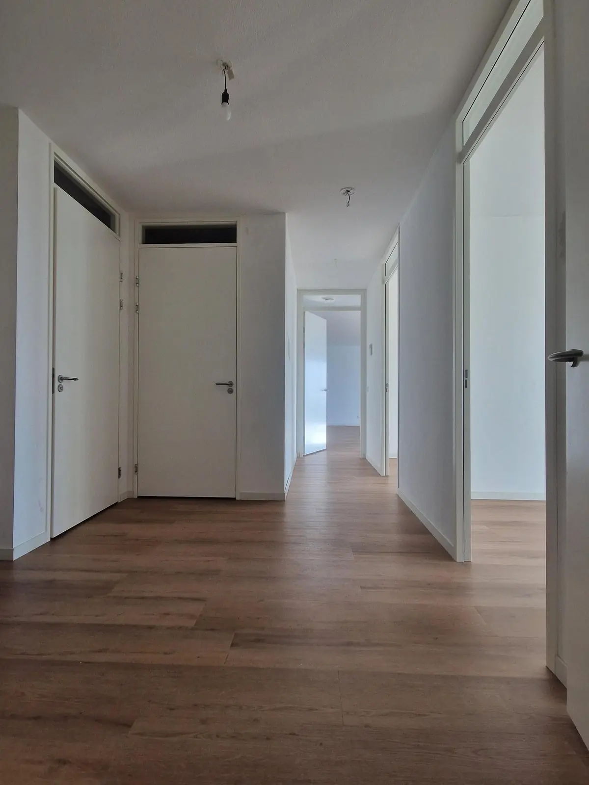 Image 10 of 20
