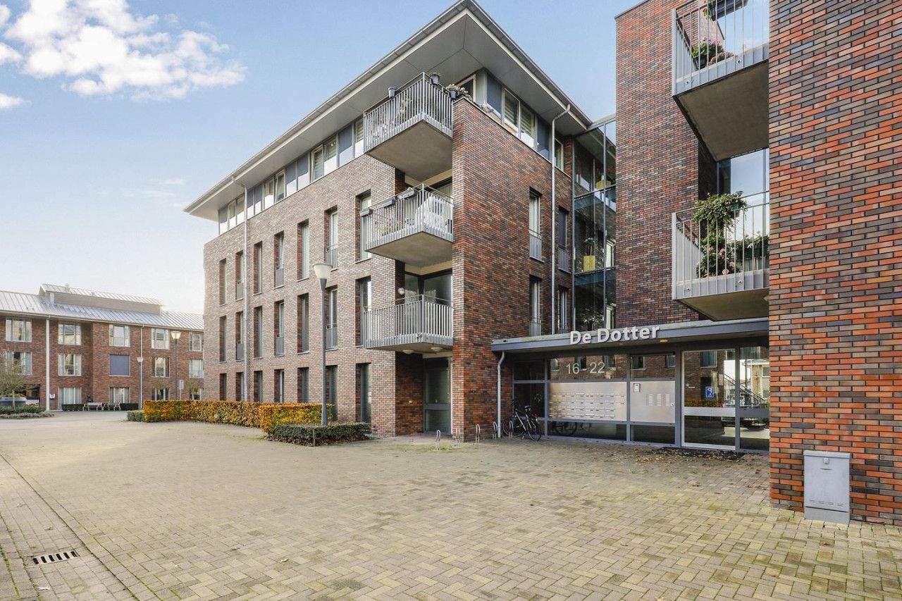 Afbeelding 1 van 12