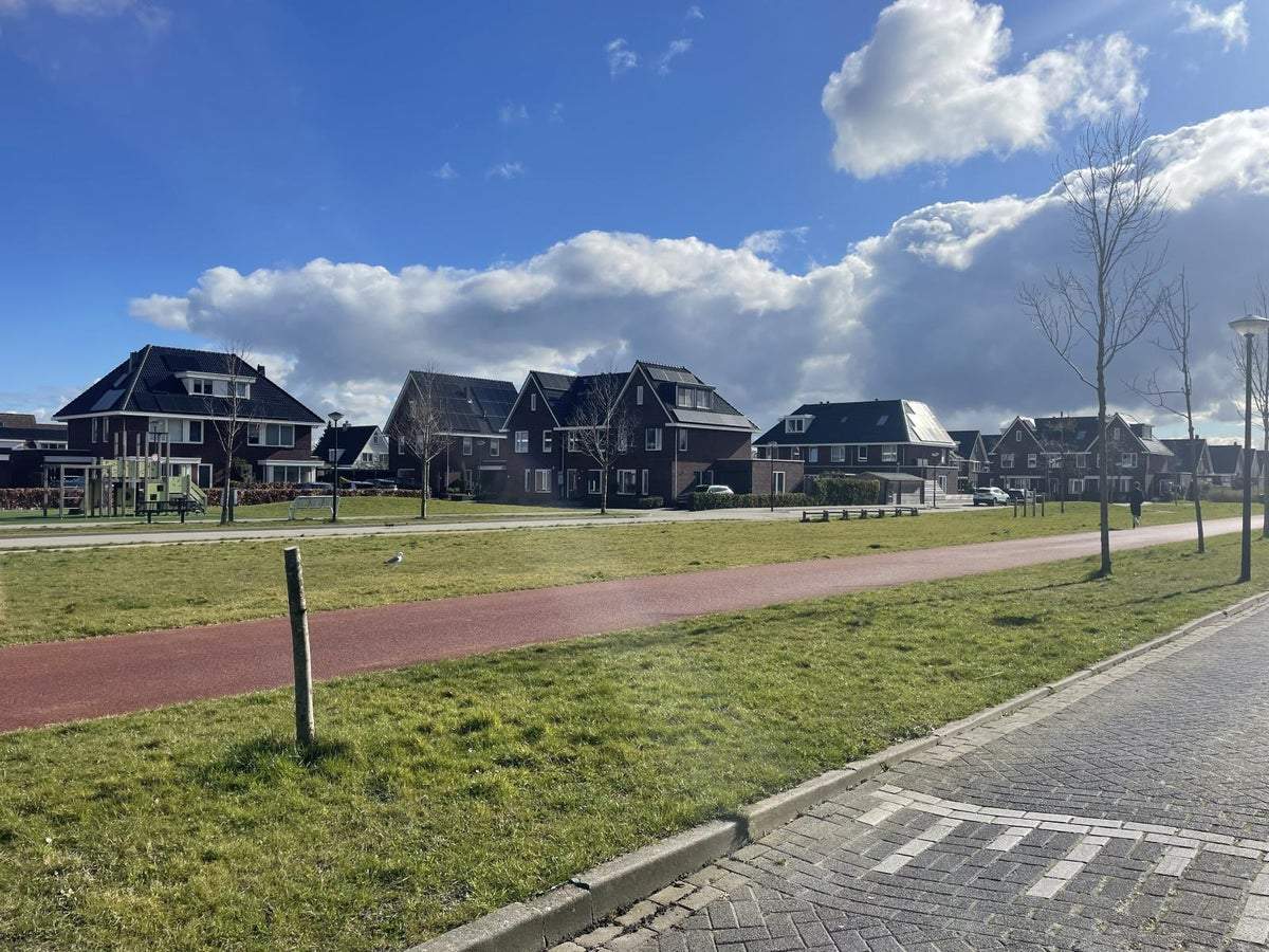 Afbeelding 3 van 14