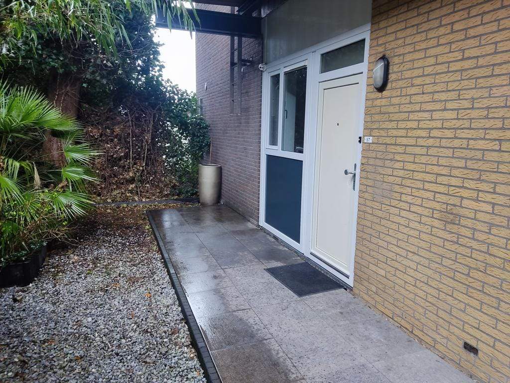 Afbeelding 1 van 12