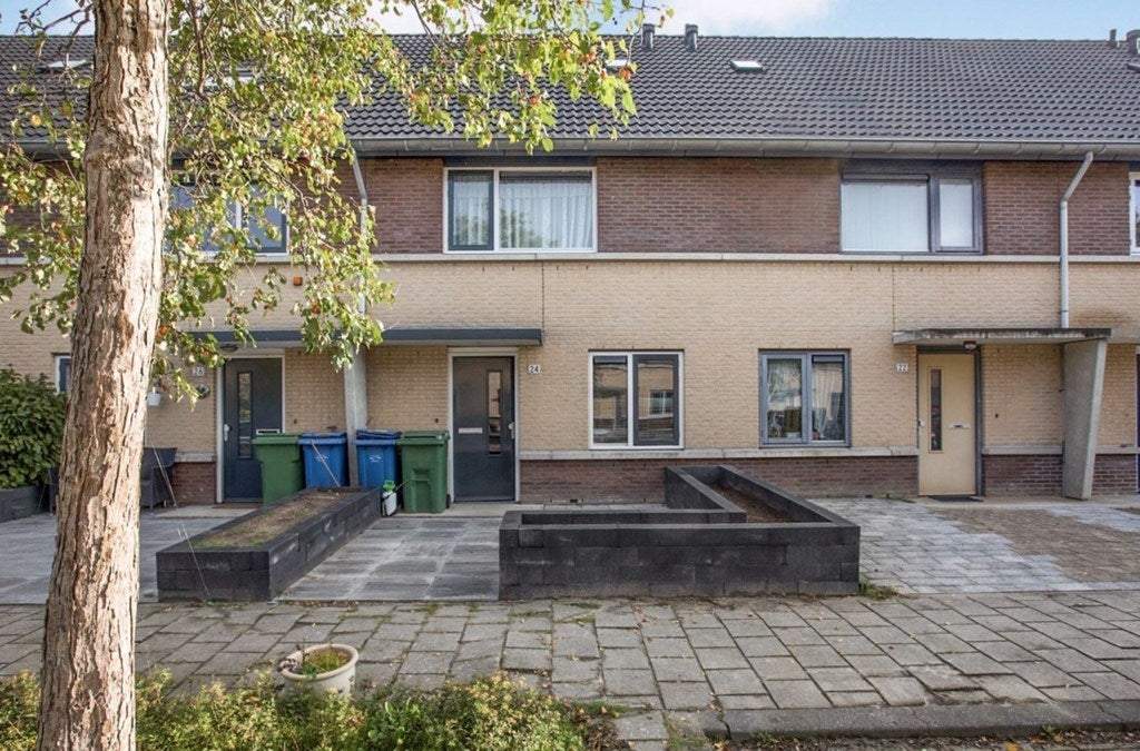 Afbeelding 1 van 19