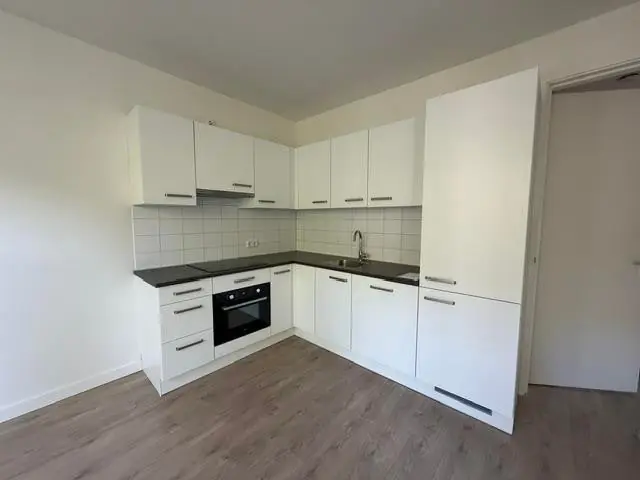 Image 4 of 12