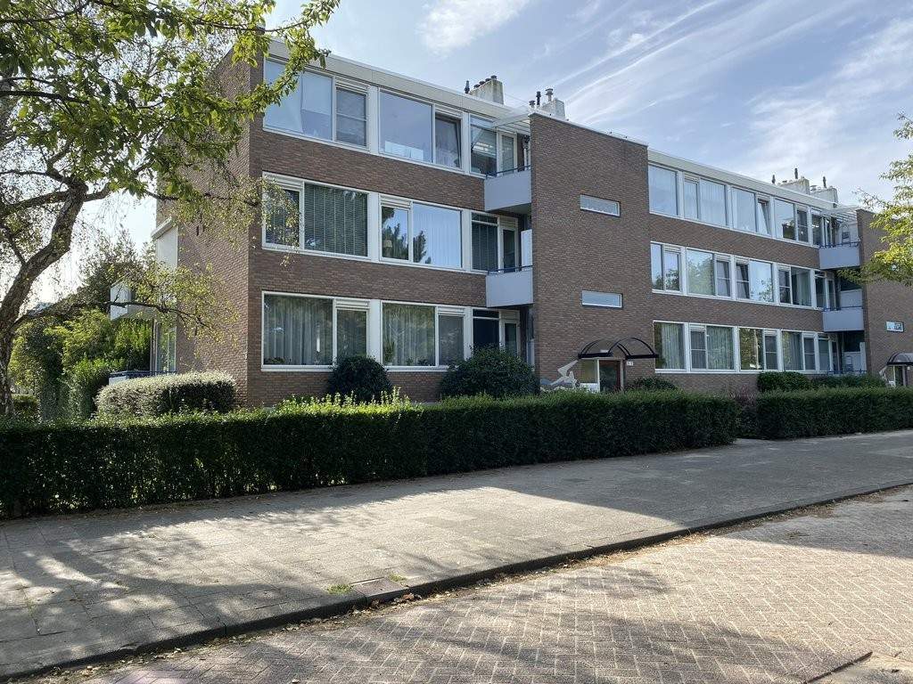 Afbeelding 1 van 18