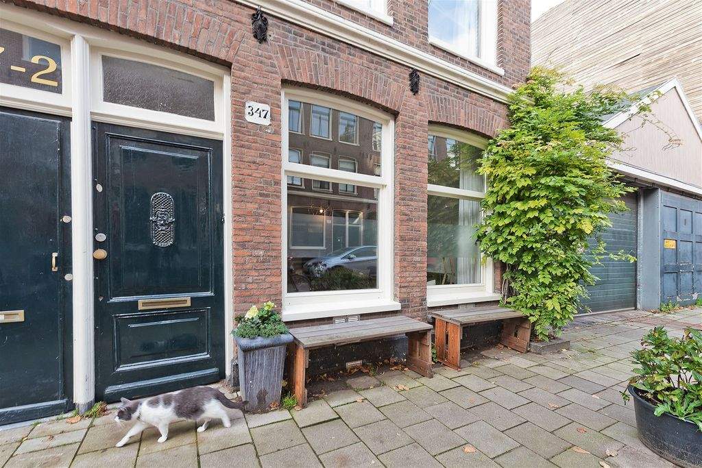 Afbeelding 2 van 12