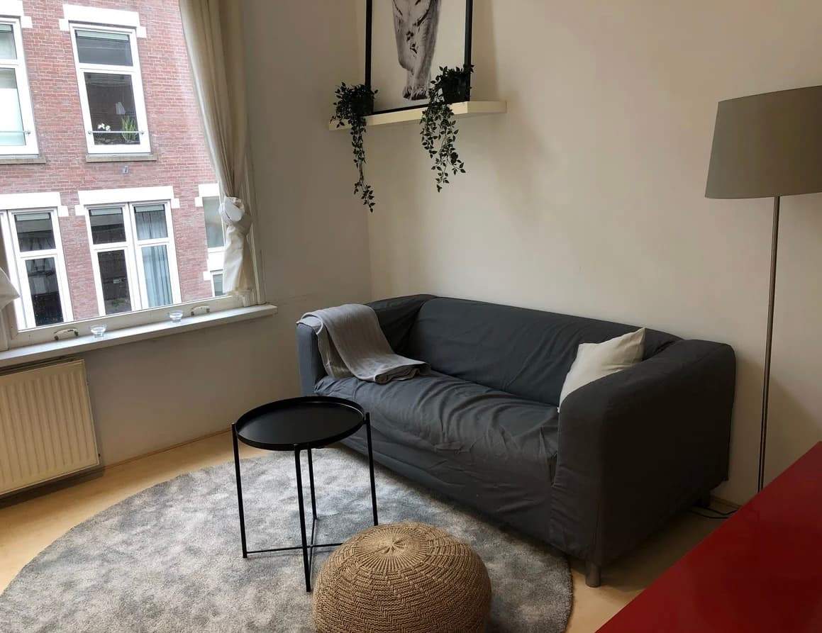 Bild 8 von 10