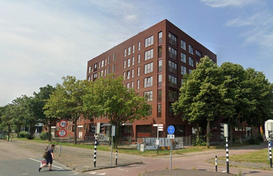 Afbeelding 1 van 7