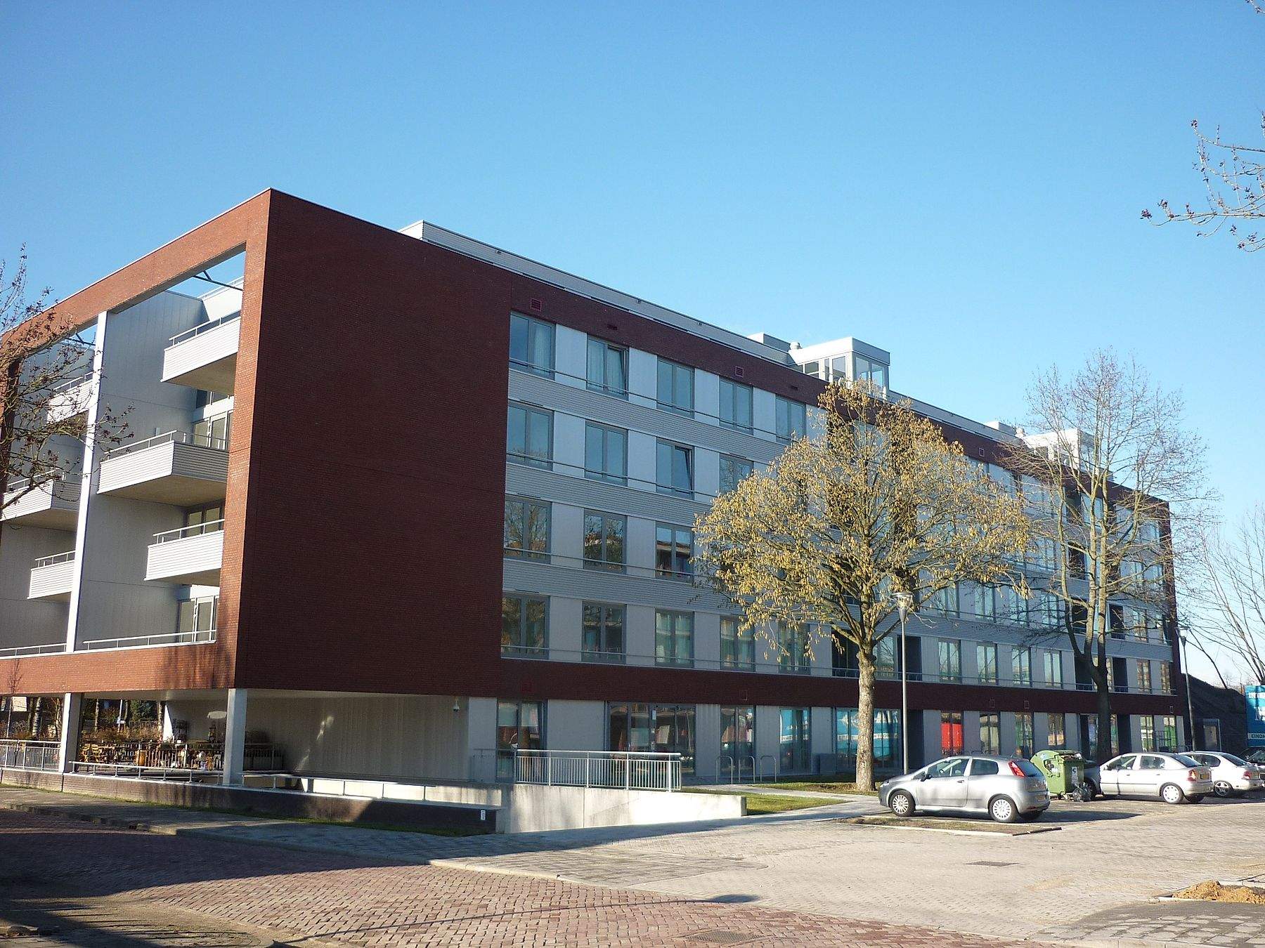 Afbeelding 1 van 8