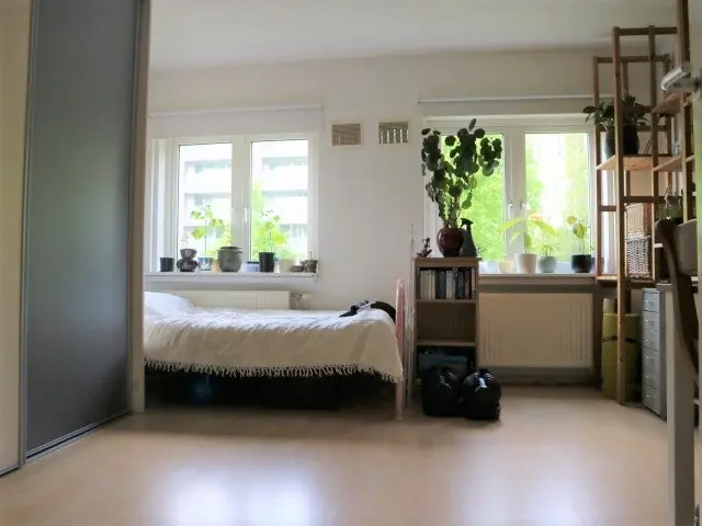 Image 19 of 24