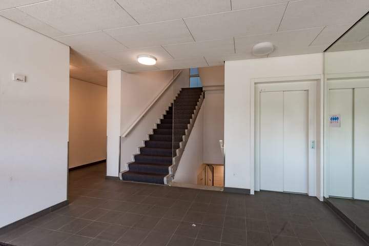 Afbeelding 3 van 30