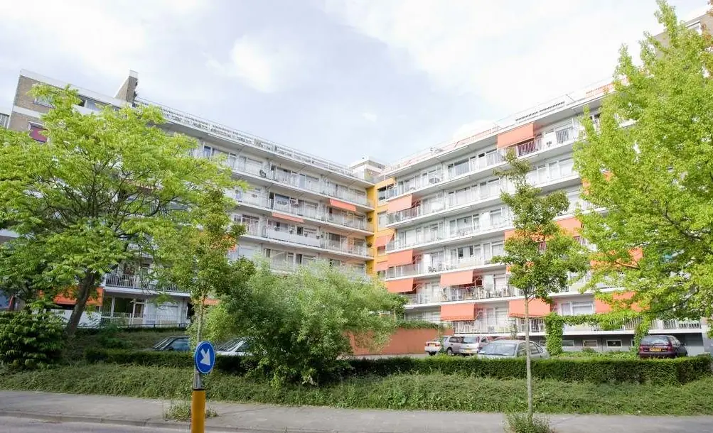 Afbeelding 1 van 3