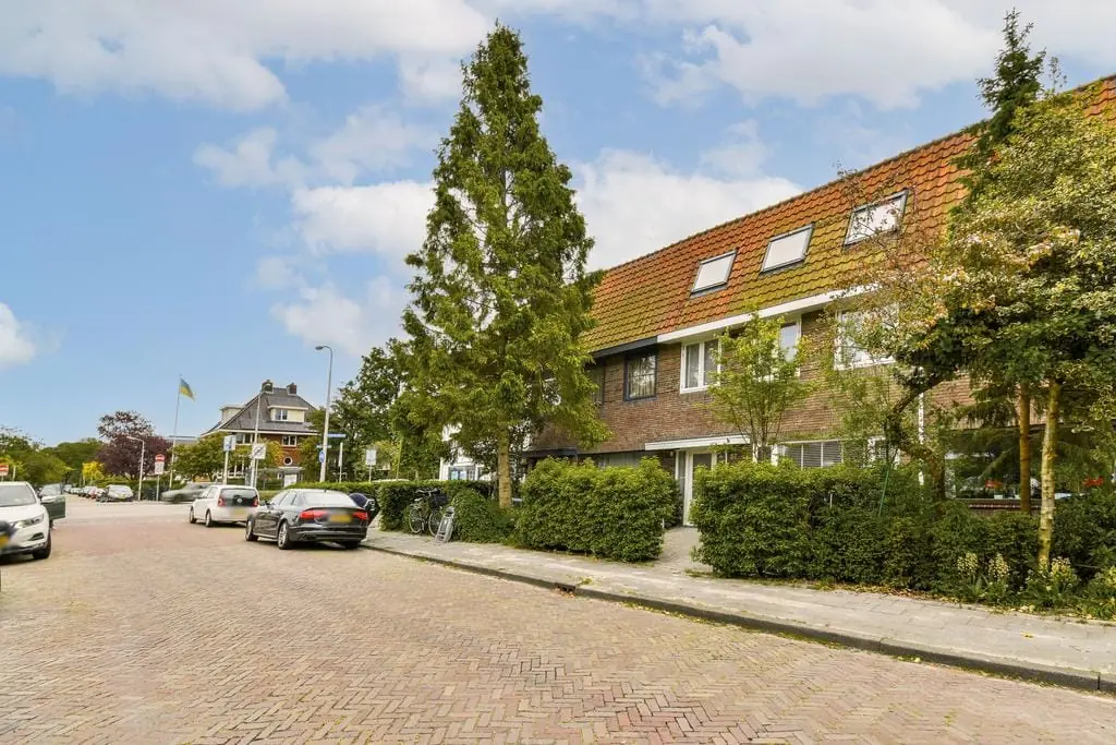 Afbeelding 3 van 15