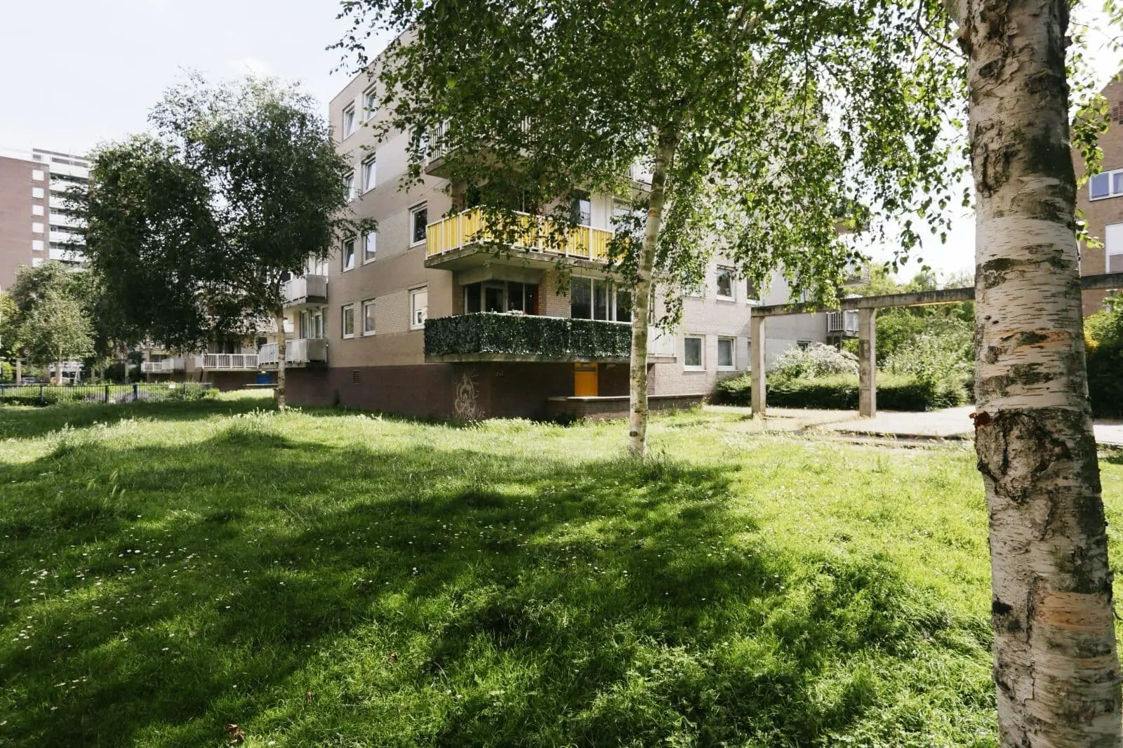 Image 3 of 8