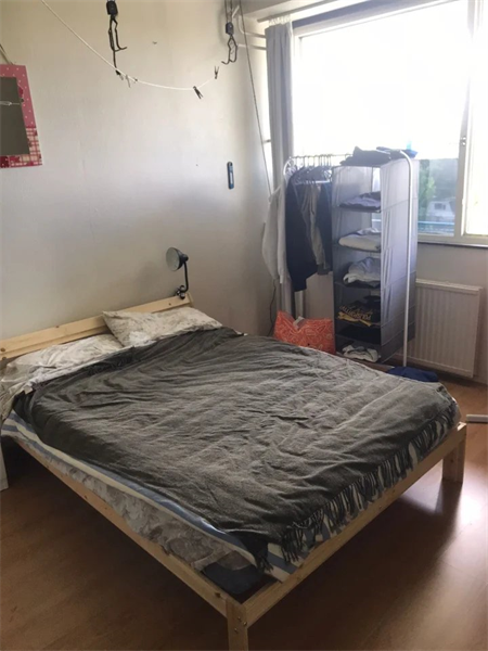 Image 2 of 3