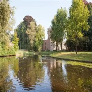 Afbeelding 9 van 12