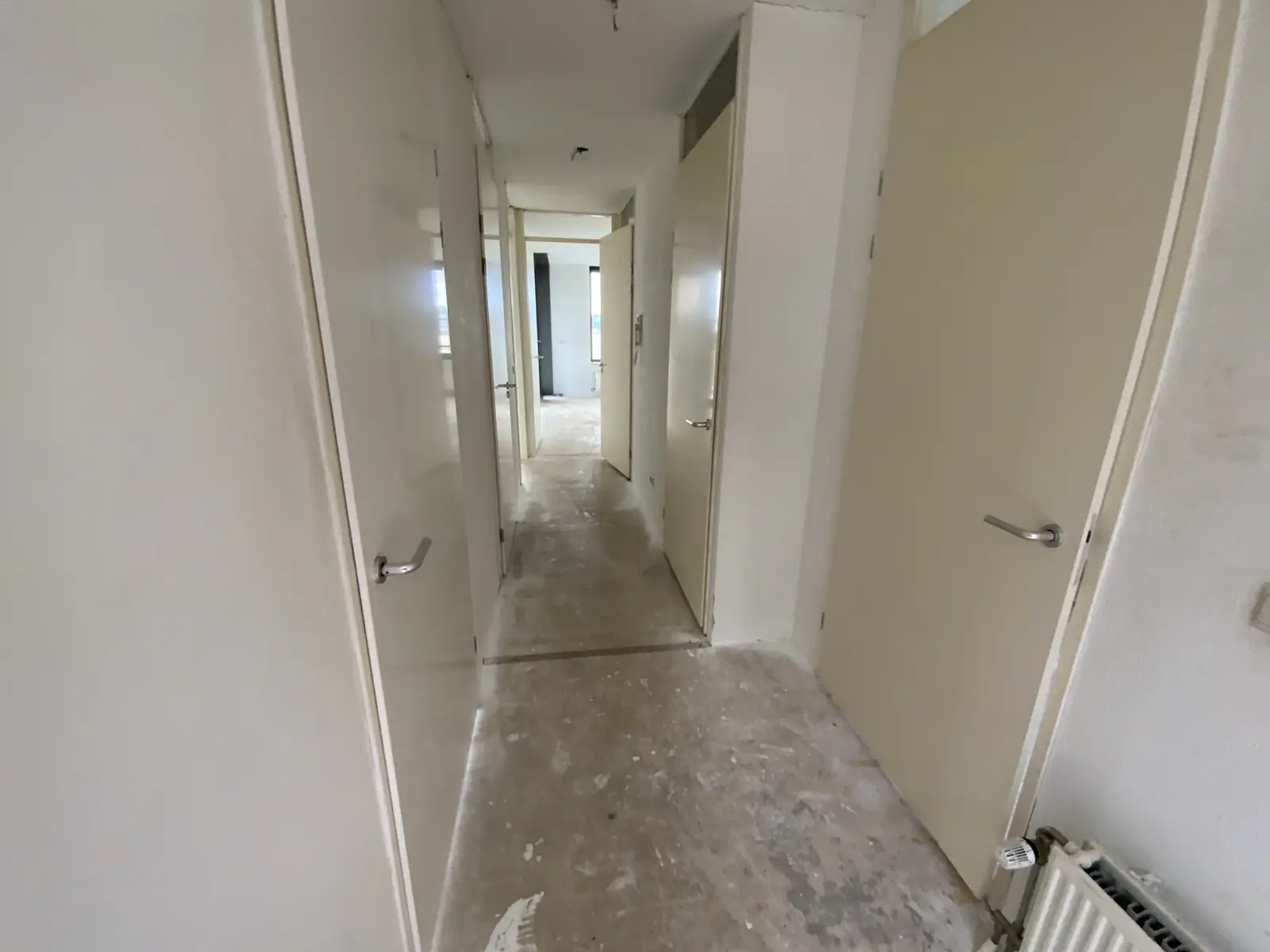 Image 12 of 12