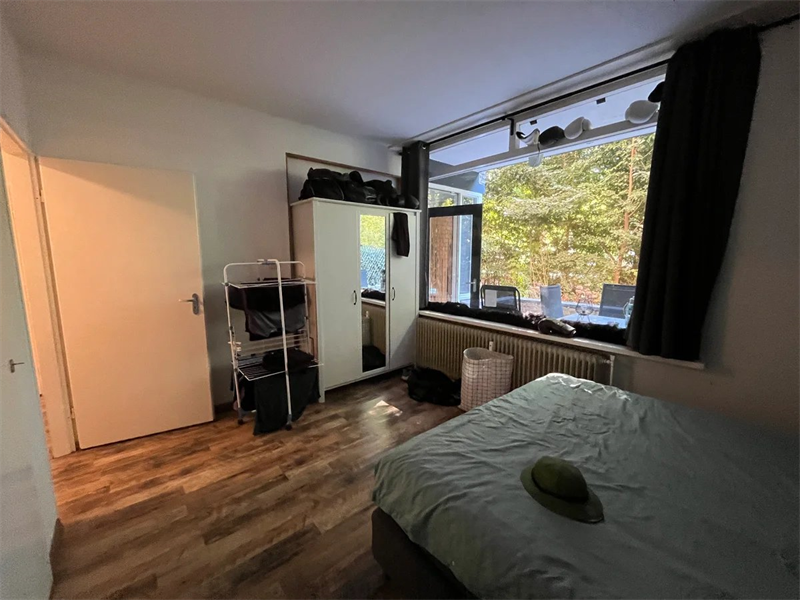 Bild 10 von 14