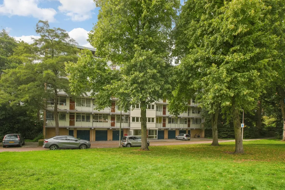 Image 19 of 23