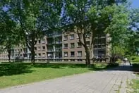 Bild 3 von 7
