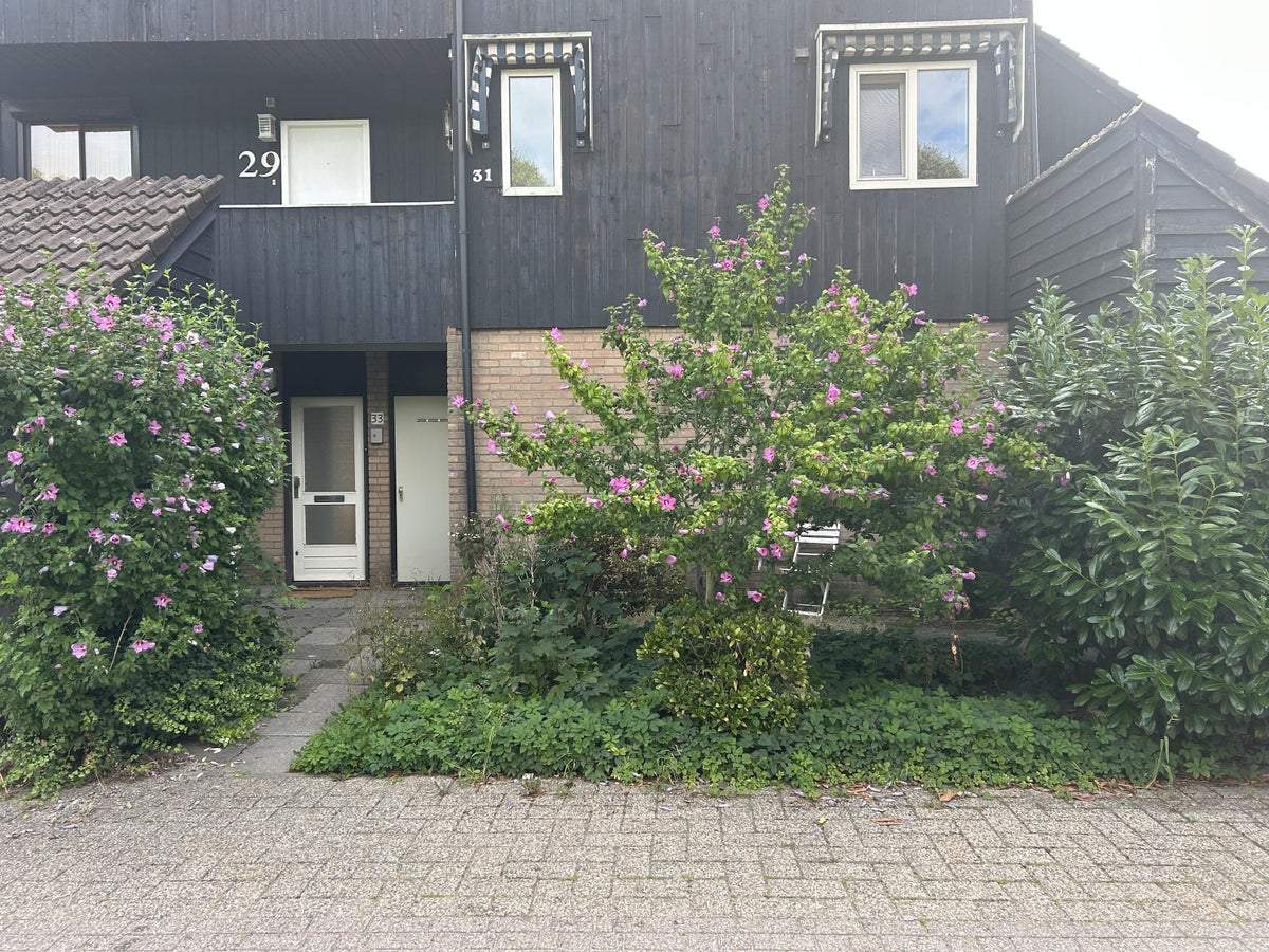 Bild 1 von 14