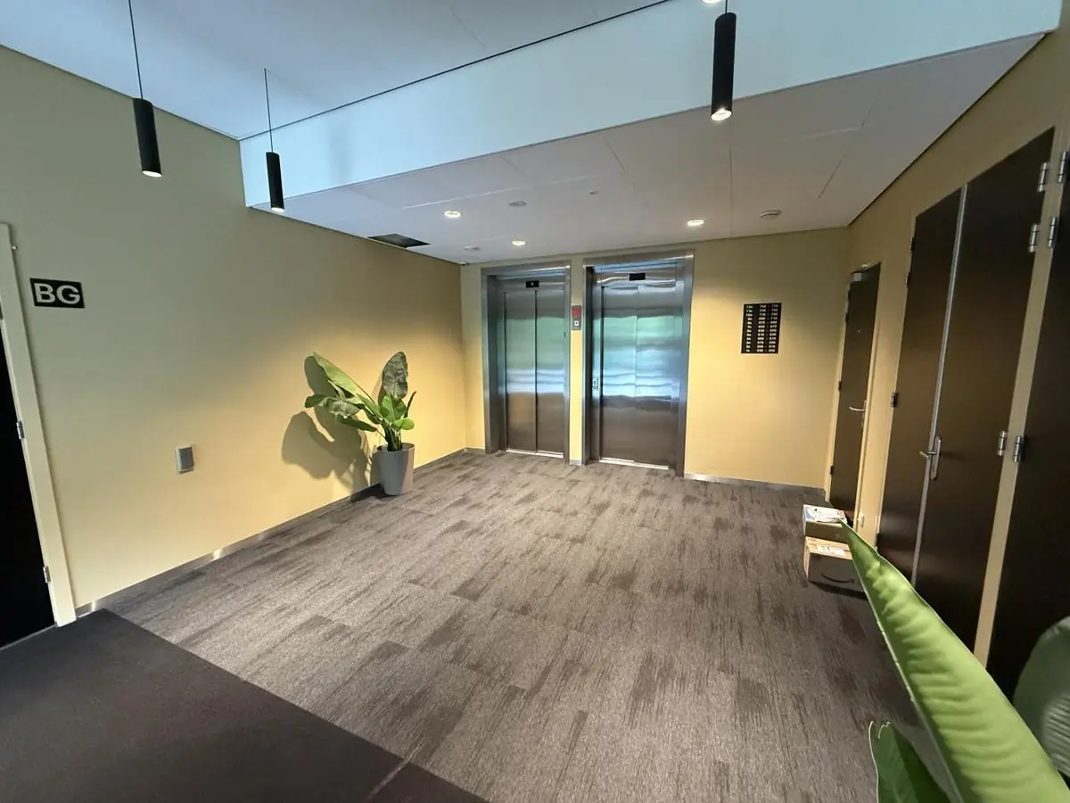 Image 12 of 15
