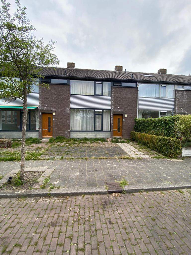 Afbeelding 1 van 10