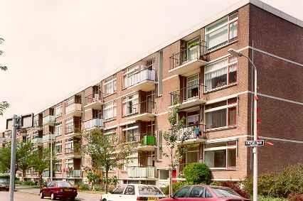 Afbeelding 2 van 8