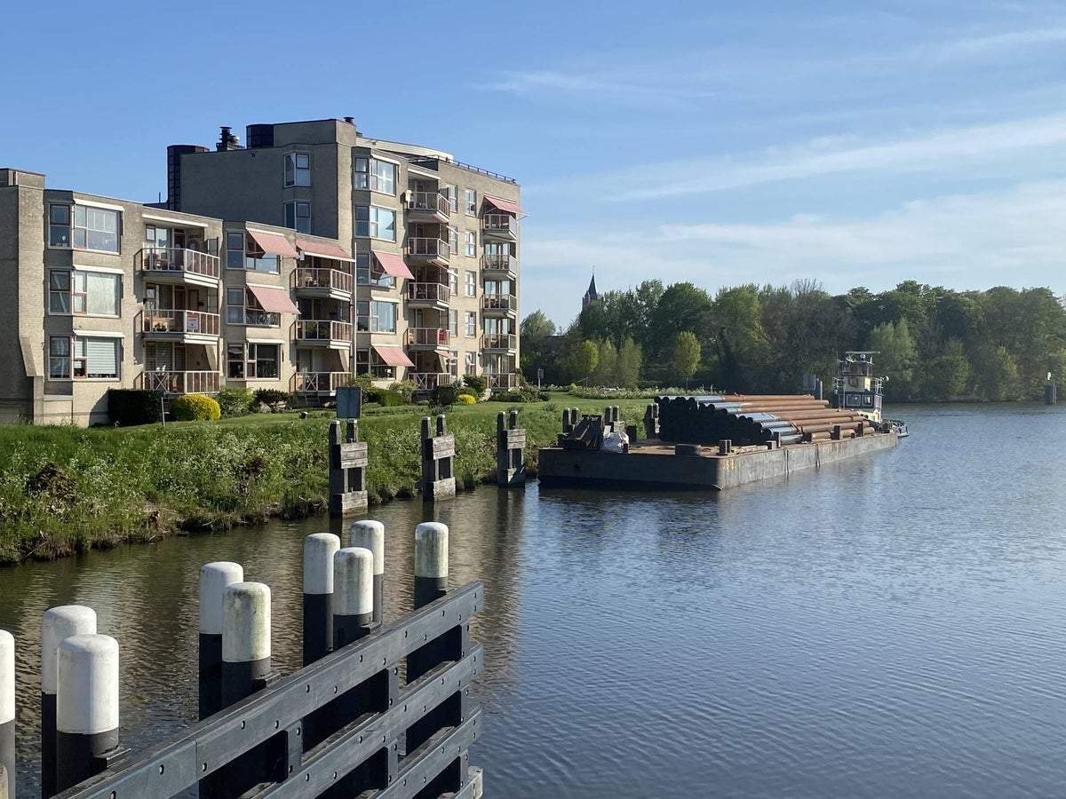 Afbeelding 3 van 37