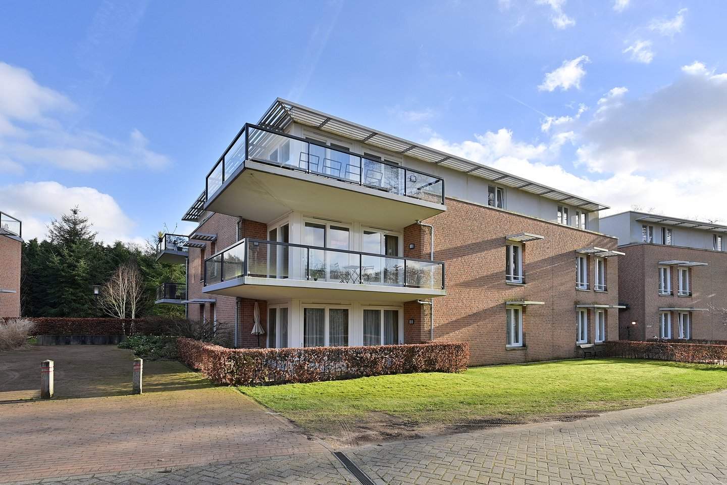Afbeelding 1 van 12