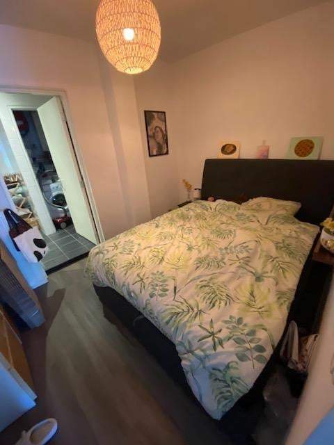 Bild 3 von 6