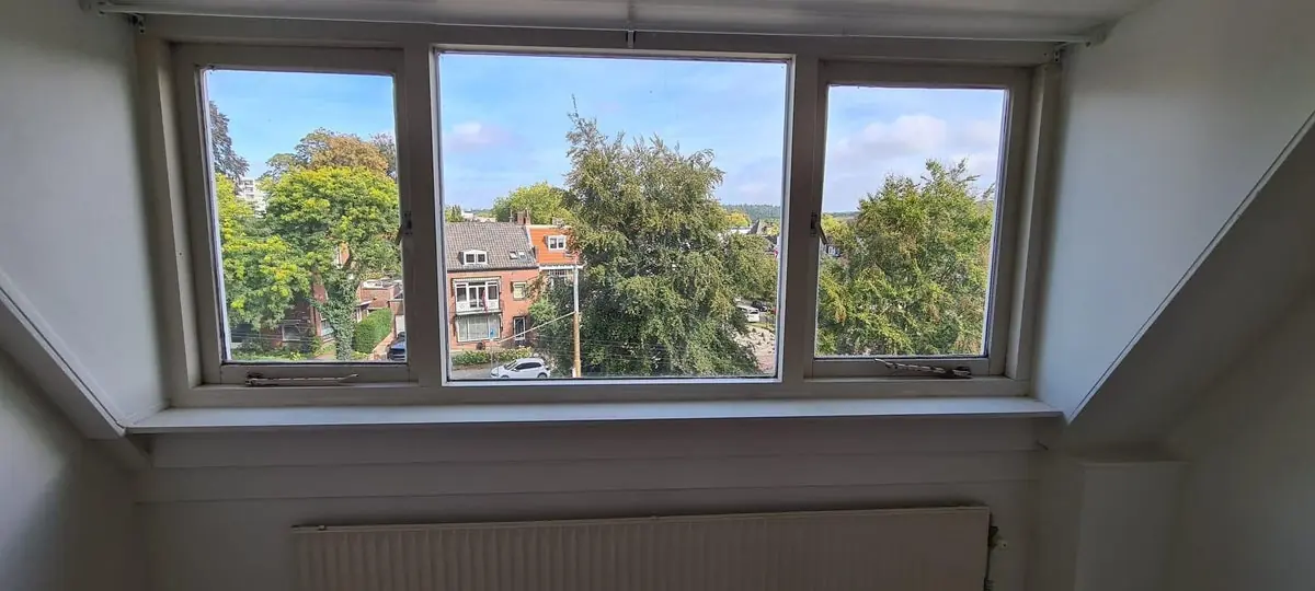 Afbeelding 10 van 14