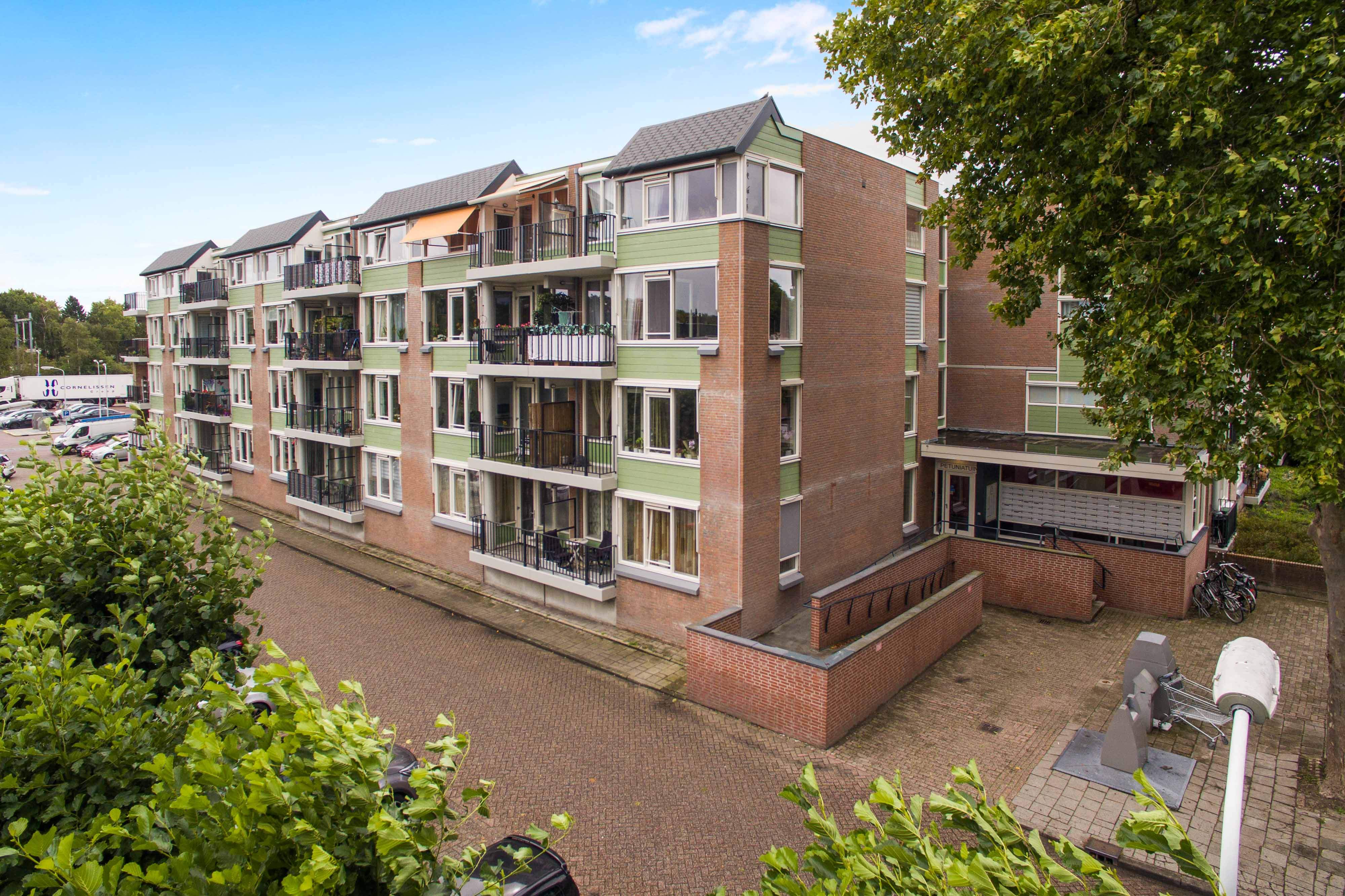 Afbeelding 7 van 12