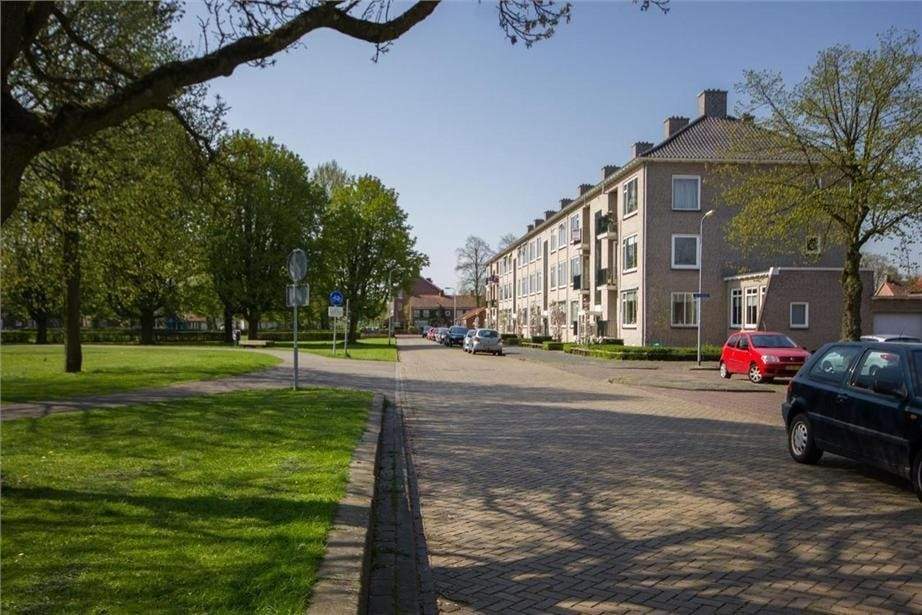 Afbeelding 1 van 12