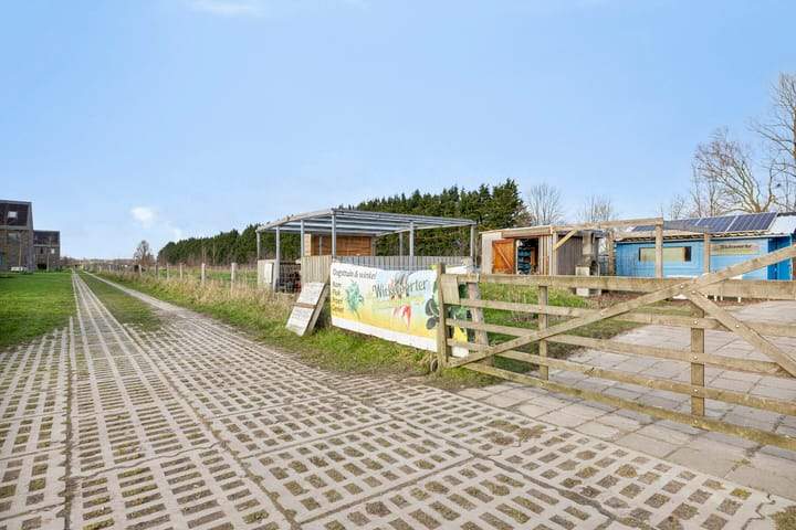 Bild 12 von 16