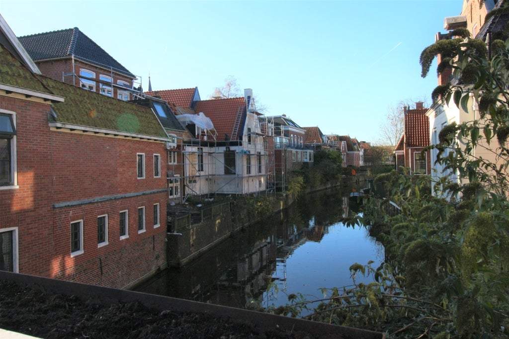 Afbeelding 1 van 19