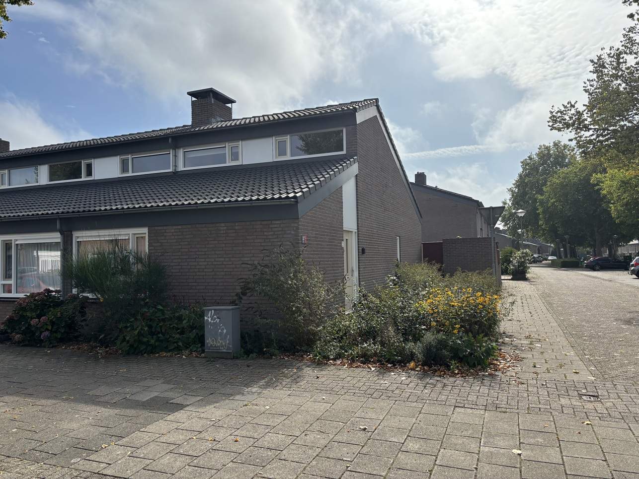 Afbeelding 3 van 4