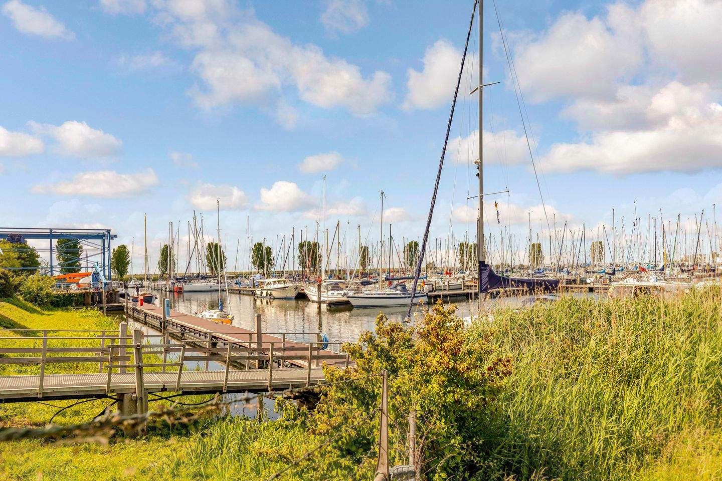 Afbeelding 55 van 64