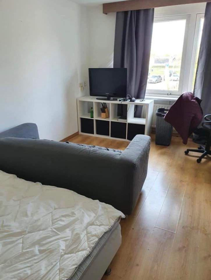 Image 2 of 8