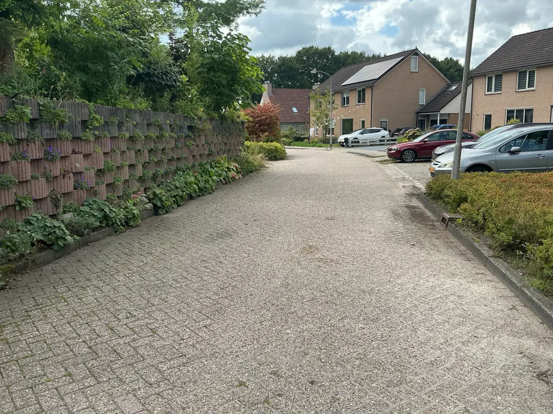 Image 2 of 4