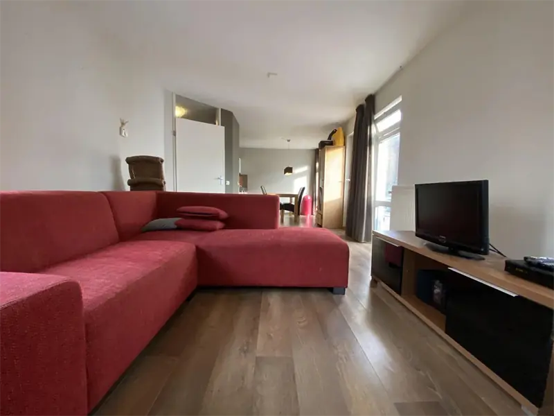 Image 7 of 13