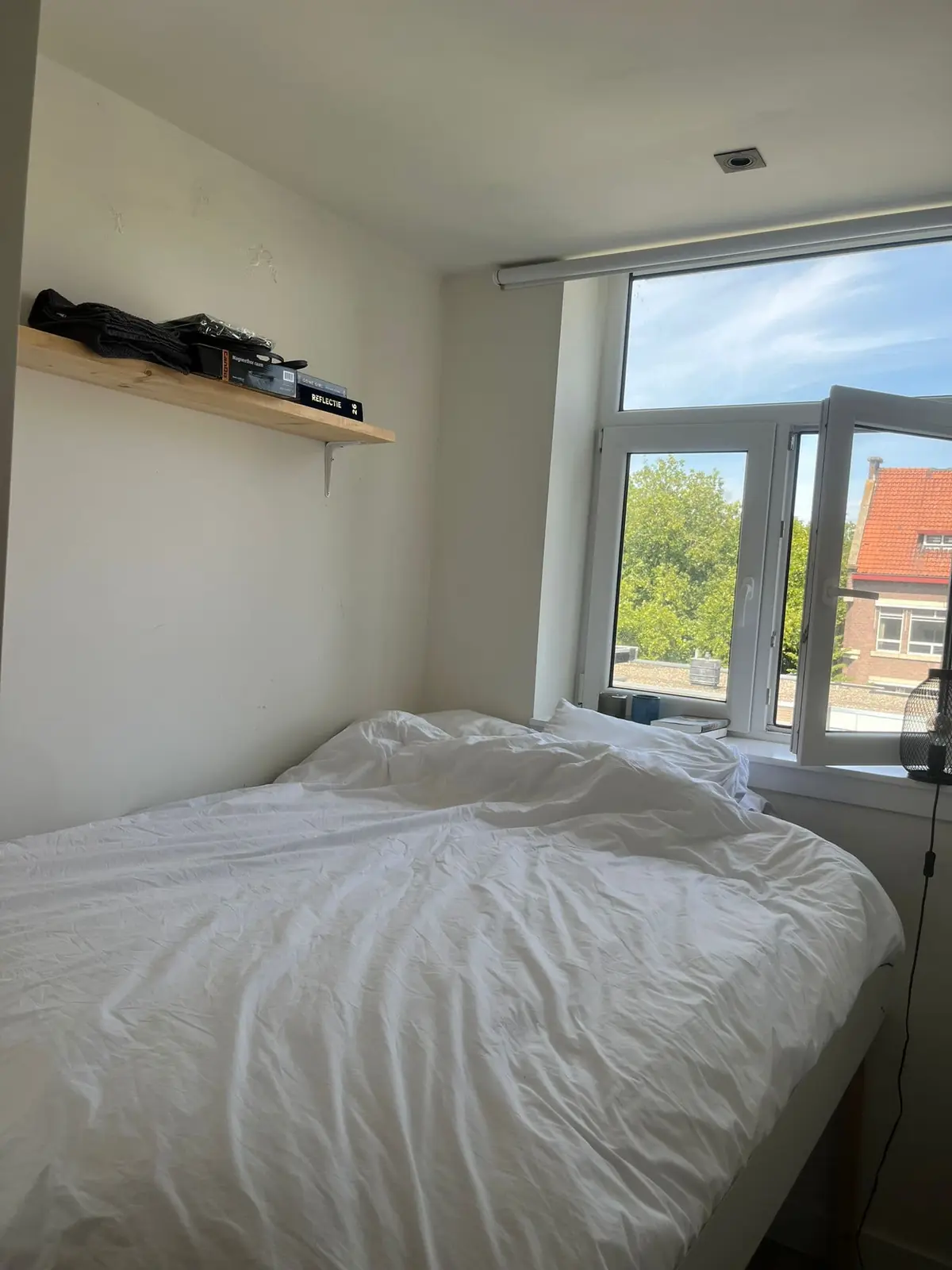 Afbeelding 1 van 10