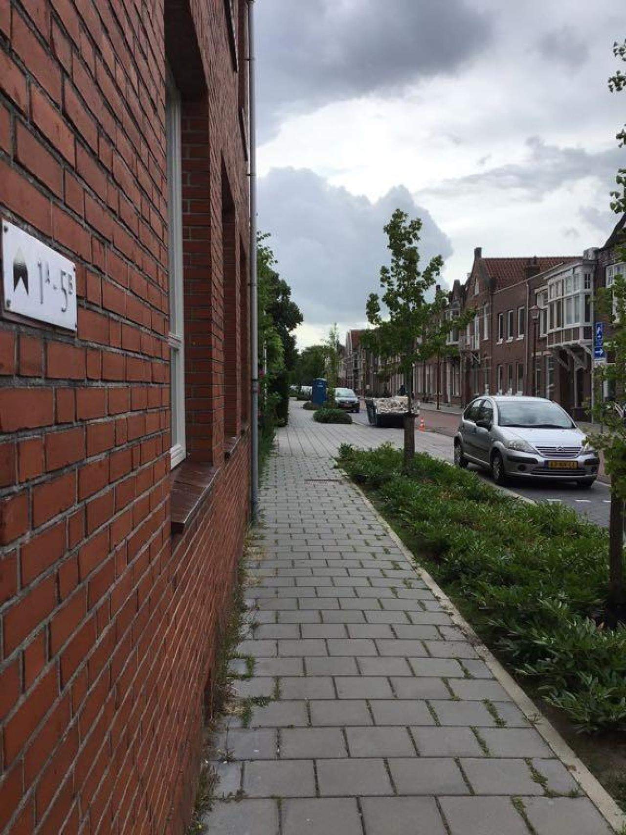 Afbeelding 4 van 9