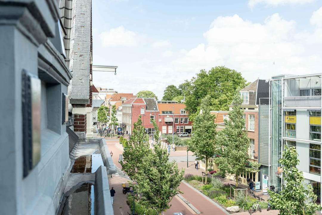 Afbeelding 8 van 42