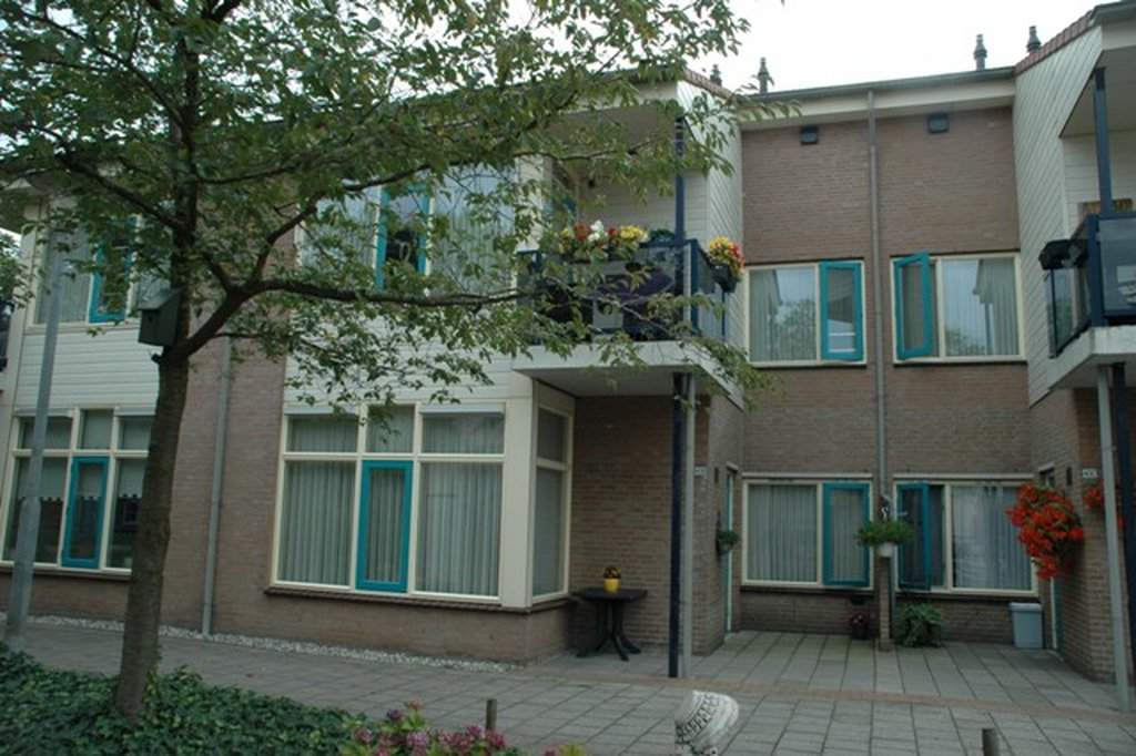 Afbeelding 1 van 1