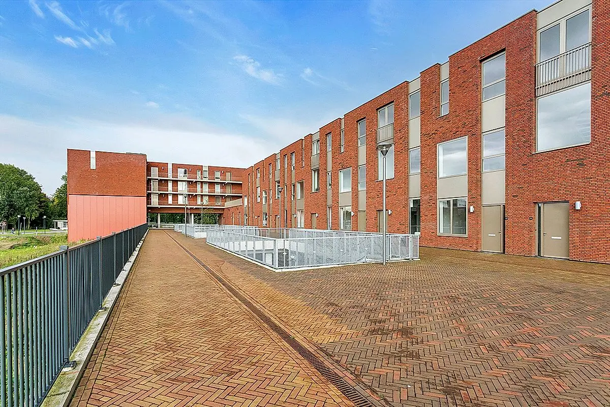 Afbeelding 2 van 8