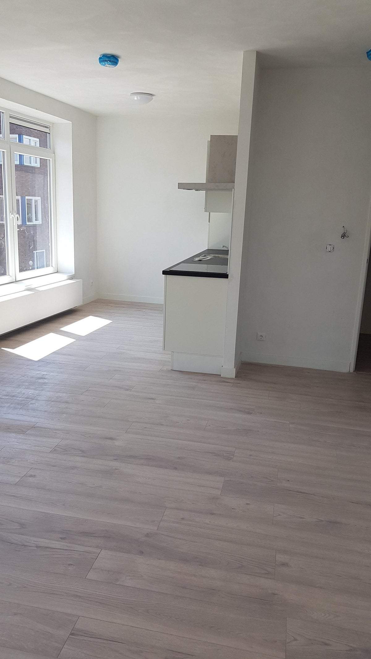 Bild 3 von 12