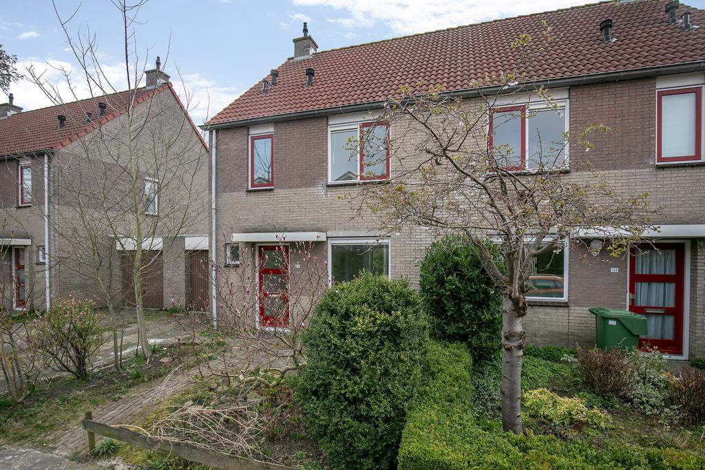 Afbeelding 3 van 12